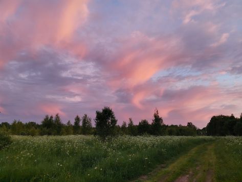 Cleanse Your Soul, Cherry Wine, Green Pasture, Sunset Wallpaper, Computer Wallpaper, Laptop Wallpaper, Nature Aesthetic, Pretty Places, Green Aesthetic