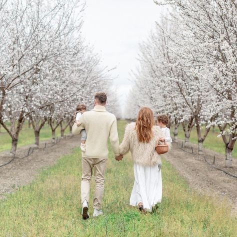 Almond Orchard Photoshoot Outfits, Cherry Blossom Orchard Photoshoot, Almond Orchard Photoshoot Family, Almond Blossom Family Photos, Almond Blossom Photography Family, Orchard Family Photos, Blossom Photoshoot Family, Orchard Photoshoot Family, Cherry Blossom Family Photos