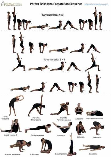 Yoga Asanas Names, Restorative Yoga Sequence, Crane Pose, Prana Yoga, Ashtanga Vinyasa Yoga, Surya Namaskar, Yoga Short, Yoga Sequence, Yoga Workouts