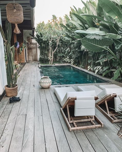 The pool at Villa Kula, photo by Taverna Travels | Looking for an awesome place to stay in Bali with a private pool? You just found it. This guide reviews some of the best villas with private pools in Bali, for every budget. Start planning your dream Bali trip! #bali #balitraveltips #balivillas #villawithpool #indonesia #asia #indonesiatraveltips Kleiner Pool Design, Bali House, Small Pool Design, Small Pools, Backyard Pool Designs, Swimming Pools Backyard, Swimming Pool Designs, Small Backyard Pools, Garden Pool