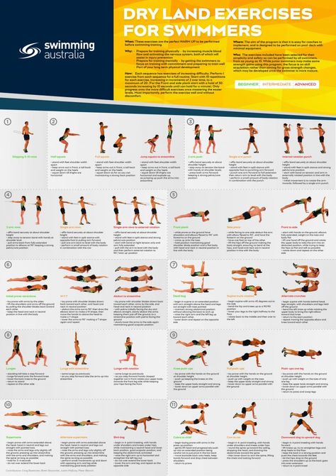 Swimming Dry Land Workouts, Swimming Gym Workout, Swimmer Workouts Gym, Land Training For Swimmers, Gym Workout For Swimmers, Swim Gym Workout, Exercises For Swimmers Dryland, Swimming Exercises Workout At Home, Swimmers Workout Exercises