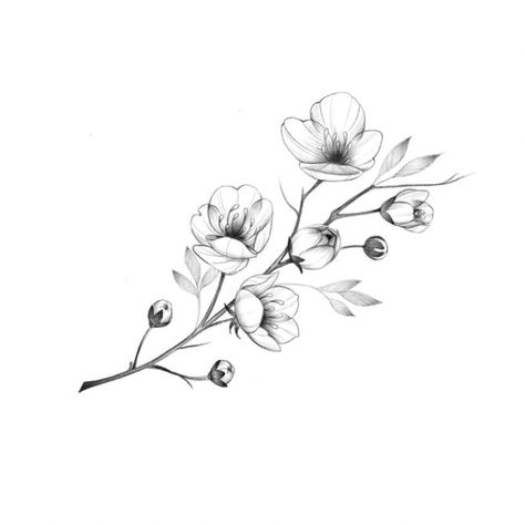 Cherry Blossom Drawing, Sakura Tattoo, Blossom Tattoo, Cherry Blossom Tattoo, Floral Tattoo Design, Flower Sketches, Instagram C, Flower Tattoo Designs, The Grey