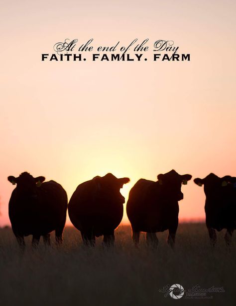 #faith family farm #legacy livestock imaging Farm Life Wallpaper, Family Farm Quotes, Farm Quotes Inspirational, Farmer Quotes Farm Life, Farm Quotes Agriculture, Farm Animal Quotes, Farm Girl Quotes, Farm Sayings, Ag Quotes