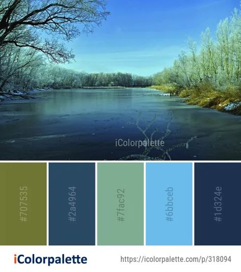 Website Colors, Nature Reflection, Color Palette Ideas, Water Reflection, Interior Color Schemes, Sky Tree, Palette Ideas, Mood Colors, Image Nature