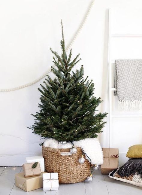 Árvore de Natal minimalista (Foto: Pinterest/ Reprodução) Minimalista O verdinho decorado com um cordão de pisca-pisca pode ser o suficiente para embalar a casa no estilo de Natal. Em um modelo minimalista, podemos até dizer que essa árvore tem uma pegada escandinava. Para dar um charme, decore com objetos de acabamento natural, como o cesto que acomoda o pinheiro. Natal Natural, Scandinavian Christmas Trees, Tiny Christmas Trees, Boho Christmas Decor, Christmas Decor Inspiration, Tabletop Christmas Tree, Small Christmas Trees, Christmas Inspo, Boho Christmas