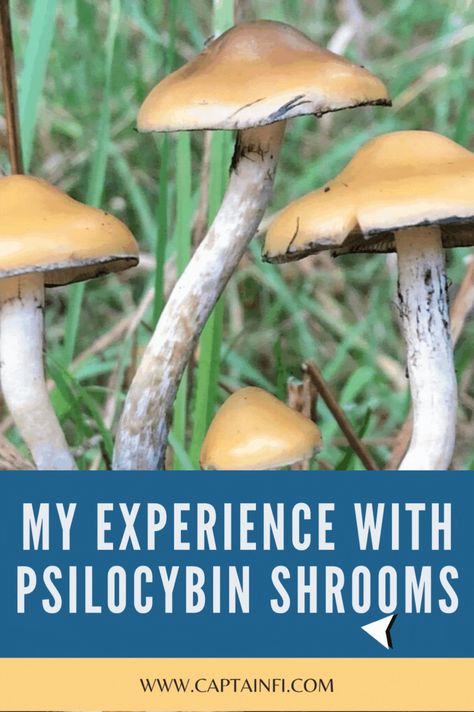 Psychoactive Plants, Psilocybin Mushrooms, Grow Mushrooms, Growing Mushrooms At Home, Mushroom Tea, Mushroom Cultivation, Spiritual Healing, Stuffed Mushrooms, Blog Posts