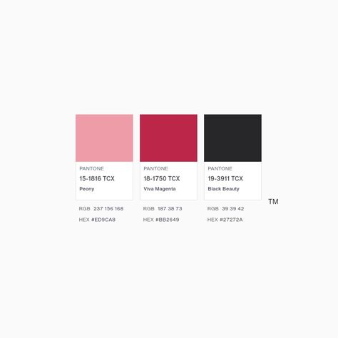 Black White Pink Red Color Palette, Fusia Pink Color Palette, Viva Magenta Palette, Viva Magenta Color Palette, Beauty Color Palette, Magenta Color Palette, Colour 2023, Corporate Folder, Black Friday Campaign