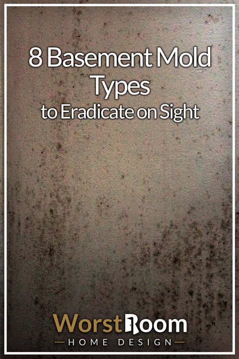 8 Basement Mold Types to Eradicate on Sight Mold In Basement, Concrete Basement Walls, Basement Repair, Concrete Basement Floors, Leaking Basement, Scandinavian Hygge, Basement Doors, Old Basement, Mold Exposure