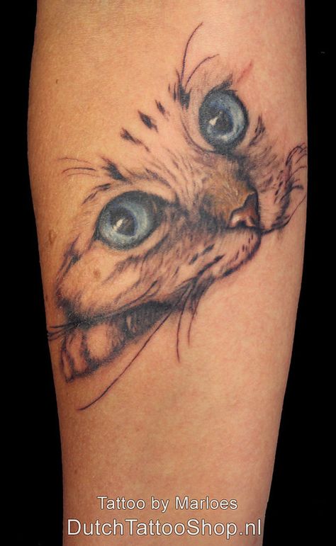 Cats Eye Tattoo, 3d Cat Tattoo, Cat Tattoo Forearm, Cat Face Tattoo Design, Cat Arm Tattoo, Cat Tattoo Designs Unique, Cat Whiskers Tattoo, Cat Ears Tattoo, Cat Nose Tattoo