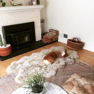 Sheepskin Rug Living Room, Redecorate Living Room, All White Walls, Warm Apartment, Surfer Room, Layering Rugs, Colorful Desert, Bedside Rugs, Natural Rugs