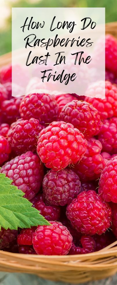 Do you love raspberries? And do you commonly use them in your recipes? Yet, you don’t know how long do raspberries last in the fridge? Well, you are in luck because they last for around 5 to 7 days. Fridge Cake, Barbie Food, Dried Raspberries, 5 To 7, Baking Tips, Don T Know, Baked Goods, Baking Soda, Mason Jars