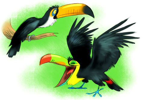 Toucan Art, Wildlife Artwork, Cartoon Birds, Art Cartoon, Creature Concept Art, Weird Animals, Bird Design, Creature Design, Creature Art