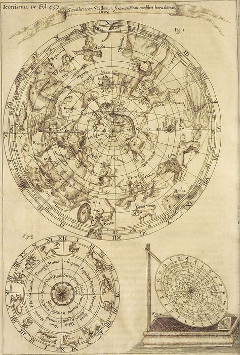 Ancient Astronomy, Celestial Map, Astronomy Art, Scientific Illustration, Old Maps, Old Map, Old Book, Book Of Shadows, Sacred Geometry