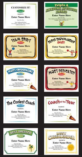 Cheerleading Certificates and Cheerleader Award Templates. A perfect keepsake to recognize a great season of cheering. Personalize the text fields with names, team name, and words of praise. Cool! Baseball Team Party, Basketball Awards, Youth Volleyball, Cheer Banquet, Baseball Camp, Volleyball Tournament, Sports Banquet, Volleyball Tournaments, Award Template