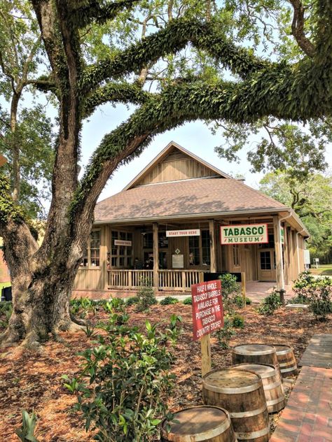 Visiting Avery Island- the home of TABASCO Avery Island, Pool Floaties, Jungle Gardens, Tabasco Sauce, Hot Peppers, Island Tour, New Orleans Louisiana, Southern Belle, Foodie Travel