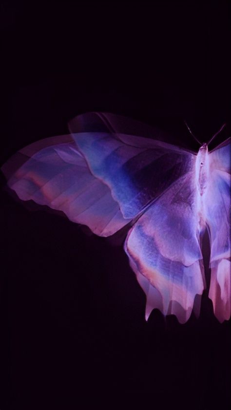 Purple Butterfly Wallpaper Iphone, Purple Butterfly Wallpaper Aesthetic, Butterfly Purple Wallpaper, Aesthetic Wallpaper Iphone Purple, Blackpink Edit Wallpaper, Purple Butterfly Aesthetic, Roxo Aesthetic, Purple Phone Wallpaper, Morado Aesthetic