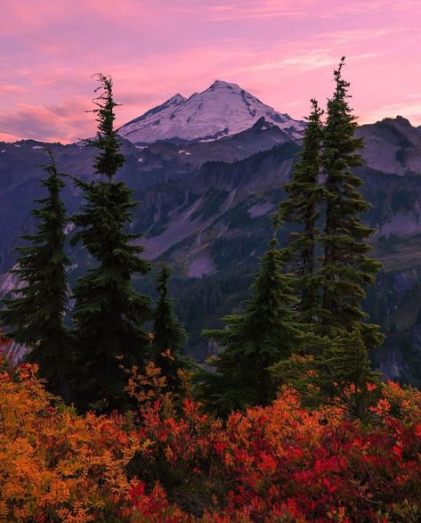 Baker Drawing, Mt Baker Washington, Mount Baker, Water Island, Mt Baker, The Great Outdoors, Beautiful Nature, Nature Photography, Washington