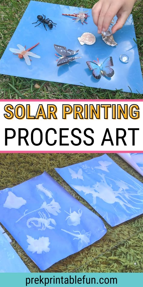 Solar Printing, Process Art Preschool, Science Art Projects, Science For Toddlers, Preschool Science Activities, Science Crafts, Summer Preschool, Preschool Arts And Crafts, Art Invitation