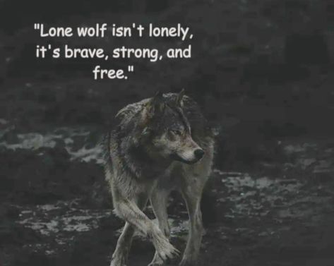 Wolf Traits, Lone Wolf Aesthetic, Evil Queen Quotes, Lone Wolf Quotes, Unique Words Definitions, Wolf Quotes, Wolf Spirit Animal, Man Up Quotes, Teen Life Hacks