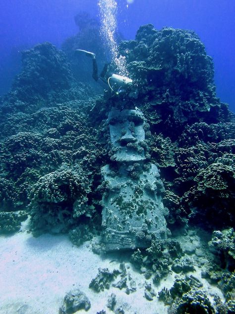 How Cold Could It Be to Scuba Dive in Easter Island? - Teja on the Horizon Easter Island Travel, Ancient Statues, Scuba Dive, Island Destinations, Diving Center, Epic Photos, Easter Island, Desert Island, Island Tour