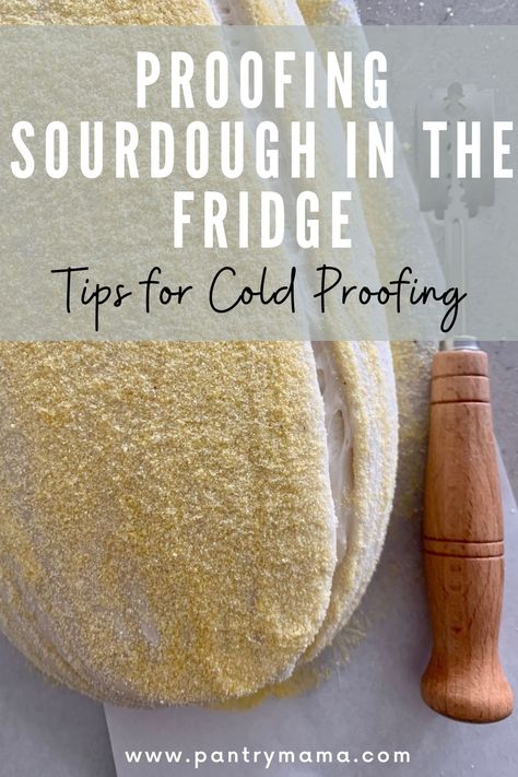 Proofing sourdough in the fridge is considered best practice for superior sourdough flavor and texture. Here are best tips for cold proofing. The Pantry Mama, Middle Eastern Bread, Pantry Mama, Baking Techniques, Sourdough Bread Starter, Sourdough Starter Discard Recipe, Homemade Sourdough Bread, Bread Starter, Sourdough Starter Recipe