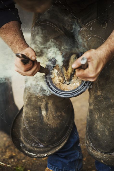 A farrier shoeing a horse, bending down and fitting a new horseshoe to a horse's hoof. by Mint_Images. A farrier shoeing a horse, bending down and fitting a new horseshoe to a horseâ€™s hoof. #Sponsored #horse, #bending, #farrier, #shoeing Horse Shoes Aesthetic, Horse Farrier Aesthetic, Farrier Photography, Farrier Aesthetic, Shoeing Horses, Polo Photography, Horse Farrier, Horse Shoeing, Livestock Photography