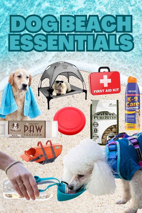 Dog Beach Essentials, Dog Birthday Photo, Pet Sunscreen, Dog Travel Accessories, Puppy Room, Cavalier Puppy, Beach Dog, Dog Friendly Beach, Photos With Dog