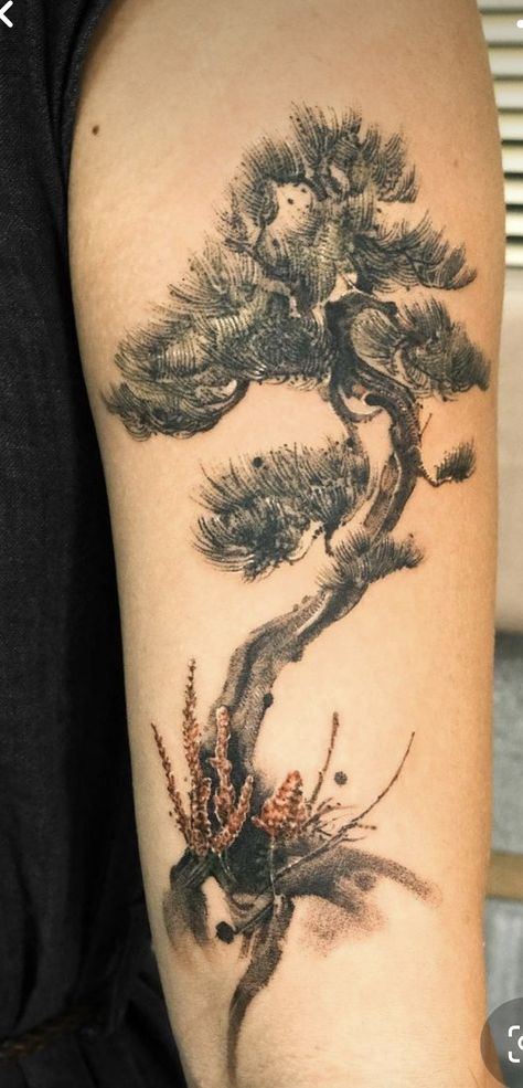 Red Pine Tree, Bonsai Tattoo, Plus Size Tattoos, Bonsai Tree Tattoos, Tree Tattoo Forearm, Tree Tattoo Men, Animal Sleeve, Hippie Tattoo, Tree Tattoos