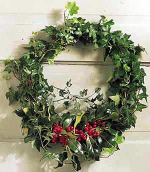 Holly And Ivy Wreath, Holly And Ivy Christmas Decorations, Ivy Wreath, Holly And Ivy, Ivy Cottage, Floor Wax, Wreath Swag, Evergreen Christmas, Holly Wreath