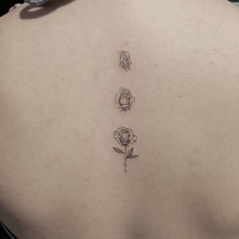 Blooming Tattoo, Tattoo Upper Back, Small White Tattoos, Tatoo Rose, Rose Tat, Bloom Tattoo, Delicate Tattoos For Women, Upper Back Tattoos, Lavender Tattoo