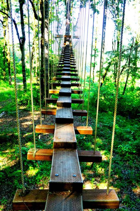 Tree Zipline, Garden Tree House, Bungee Jump, Activities For All Ages, Tualatin Oregon, Tree House Plans, Tree House Diy, Tree House Designs, Hillside Landscaping