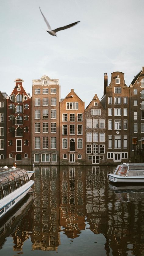 Amsterdam Fall Aesthetic, Amsterdam Street Photography, Amsterdam Winter Aesthetic, Amsterdam Aesthetic Vintage, Amsterdam Aesthetic Wallpaper, Amsterdam Netherlands Aesthetic, Amsterdam Honeymoon, Travel Vibes Aesthetic, Amsterdam Painting