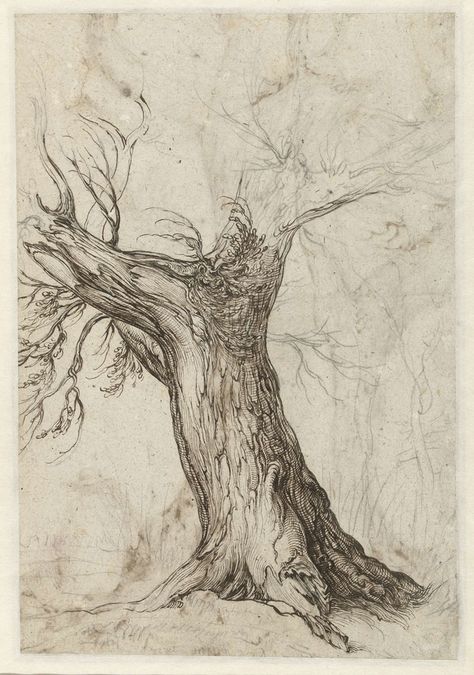 Jacques de Gheyn regularly ventured out into nature, taking chalk and paper with him. On one of his walks he recorded the contours of this tree with just a few black chalk lines. Once back in his studio, De Gheyn worked up the sketch further with pen and ink. Study of a tree trunk is an artwork on USEUM. It was created by Jacob de Gheyn II in 1598. Log in to USEUM to download unlimited free images, send e-cards and interact with thousands of famous paintings, drawings and illustrations. Tree Trunk Drawing, Boom Kunst, Pick Art, Tree Drawings Pencil, Tree Study, Tree Sketches, Famous Artwork, Tree Illustration, Landscape Drawings