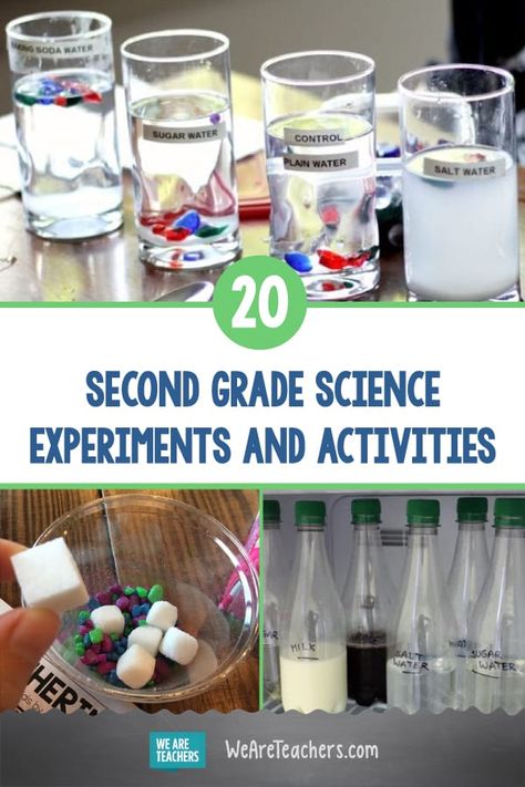 20 Simple and Fun Second Grade Science Experiments and Activities. Give second grade science students some hands-on experience with earth science, states and properties of matter, plant and animal life cycles, and more. #secondgrade #science #activities #STEM #STEAM #teaching 2nd Grade Science Experiments, Worksheet For 2nd Grade, Underwater Volcano, 2nd Grade Science, Science Experiments Kids Elementary, Grade 2 Science, Earth Science Activities, Soap Foam, Second Grade Science