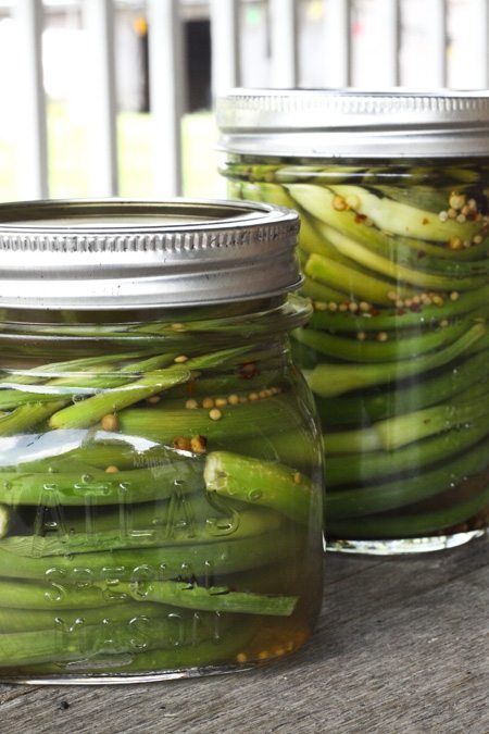 Pickled Garlic Scapes: a 10 minute pickling project | www.foodiewithfamily.com Pickled Scapes, Pickled Garlic Scapes, Garlic Scape Pesto, Canning Food Preservation, Garlic Scapes, Csa Recipes, Pickled Garlic, Homemade Pickles, Garlic Recipes