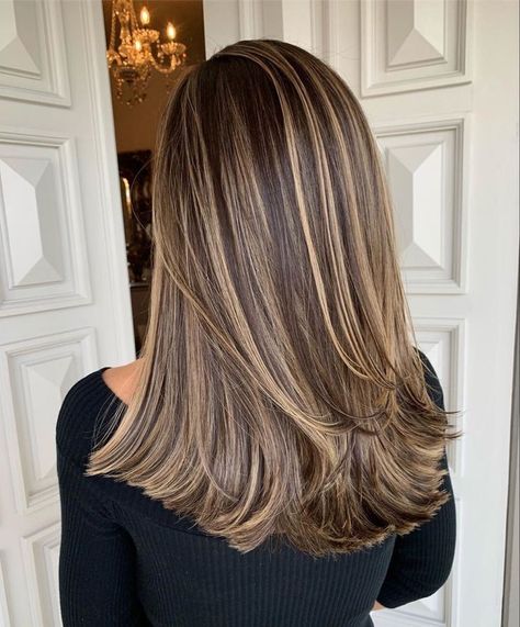 Fall Winter Hair Color, Brunette Hair With Highlights, Brown Hair With Blonde Highlights, Dye Ideas, Brown Hair Balayage, Summer Hair Color For Brunettes, Haircut And Color, Short Hairstyle, Short Hair Updo