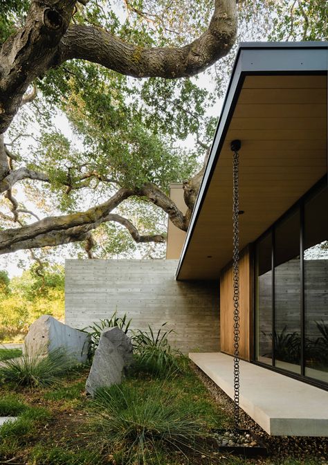 Sanctuary House, Board Formed Concrete, Urban Tree, Rain Chain, Urban Setting, Concrete Patio, Lush Garden, Architecture Photo, Design Milk