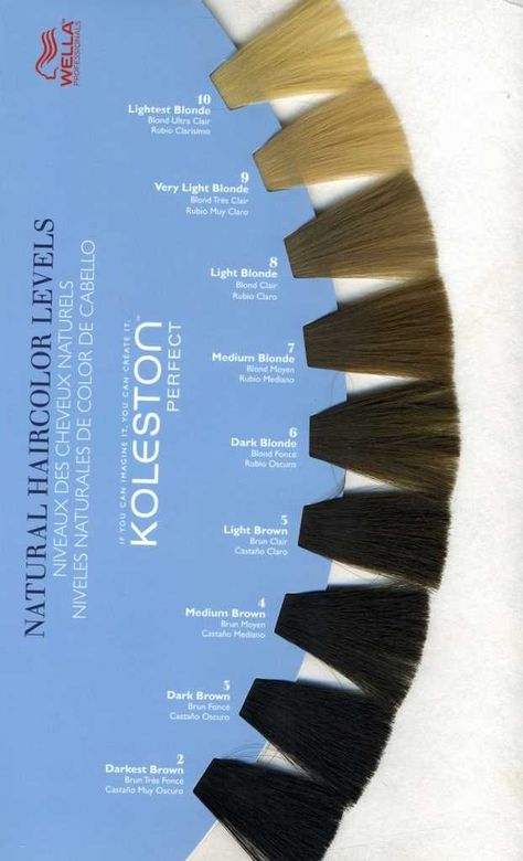 Natural Hair Color Levels | Presented by Wella Professionals Wella Hair Color Chart, Hair Color Levels, Level 6 Hair Color, Strands Hair, Face Framing Hair, Hair Levels, Types Of Hair Color, Hair Foils, Wella Hair Color