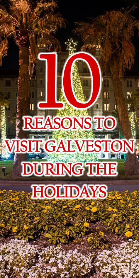 Family Vacations In Texas, Cheap Family Vacations, Texas Winter, Winter Vacations, Texas Christmas, Texas Places, Galveston Island, Galveston Texas, Texas Travel