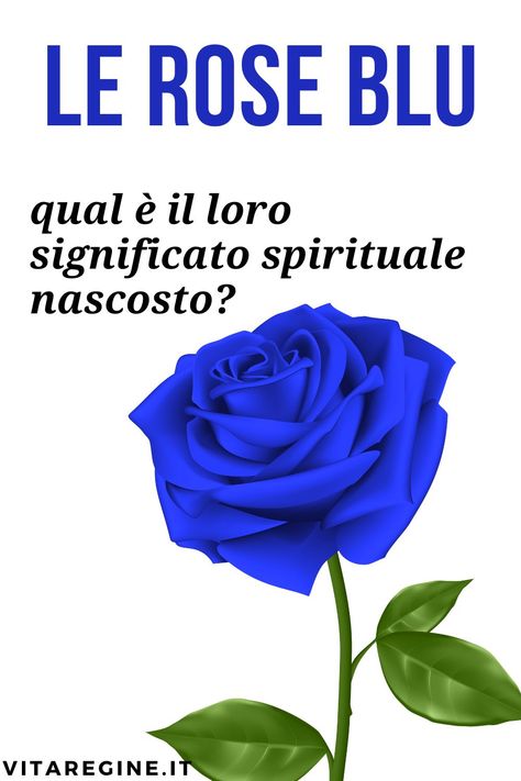 Tra innamorati, spesso ci si regala un mazzo di rose per dimostrare i propri sentimenti. Rose Blu, Italy