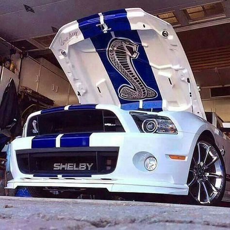 Shelby Mustang.. Bentley Auto, Jaguar Auto, Shelby Mustang Gt500, Shelby Gt 500, Jaguar Cars, Mustang Gt500, Shelby Mustang, Ford Mustang Car, 2015 Mustang