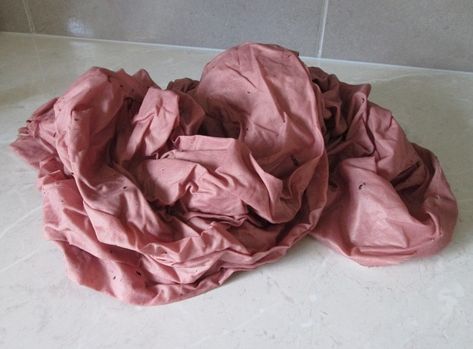 Dye Fabric With Flowers, Flower Dyed Fabric, Hibiscus Dye Fabric, Fabric Hibiscus Flower, Tea Dyed Fabric, Natural Pink Dyes For Fabric, Hibiscus Bush, Leaf Dyeing, Hibiscus Leaves