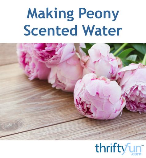 This is a guide about making peony scented water. The petals of your peonies can be used, after they fade, to make lovely scented water. Freezing Peonies, Peony Recipes, How To Smell Like Peony, Peony Perfume Fragrance, Peony Care After Bloom, Peony Water, Homemade Rose Water, Peony Oil, Diy Fragrance