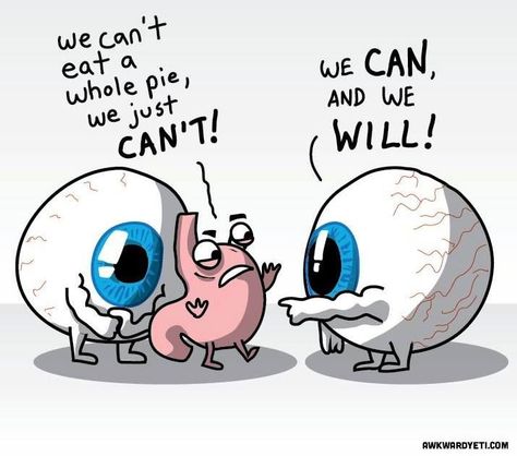 Well now, it looks like your eyes are bigger than your stomach... Awkward Yeti, The Awkward Yeti, Memes Humor, E Card, I Smile, Bones Funny, Funny Cute, I Laughed, Funny Pictures