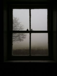 An Open Window, 3rd December, Window Photography, Fall Mood, Over The Garden Wall, Foto Tips, Window View, Through The Window, Open Window