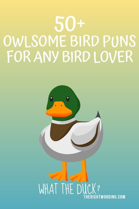 50+ Owlsome Bird Puns To Emu-se Your Friends Funny Birds Pictures Hilarious, Happy Bird Day Card, Bird Jokes Hilarious, Bird Quotes Short Funny, Encouragement Puns Funny, Duck Sayings Funny, Duck Sayings Quotes, Duck Puns Funny, Bird Sayings Cute