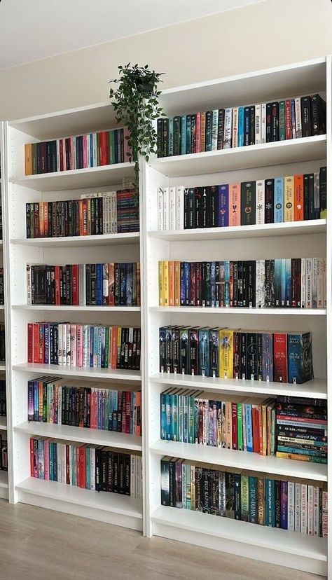 Book House Aesthetic, Bookshelf Aesthetic Bedroom, Book Corner Ideas, Room Full Of Books, Bookshelf Design Ideas, Bookish Bedroom, Book Corner Ideas Bedroom, Bookshelves Aesthetic, Aesthetic Bookshelves