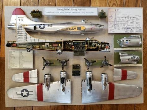 Model Airplanes Display, Model Kits Hobbies, Amphibious Aircraft, Model Warships, Model Airplanes Kit, Scale Model Building, Aviation Decor, Model Maker, Diy Picture Frames