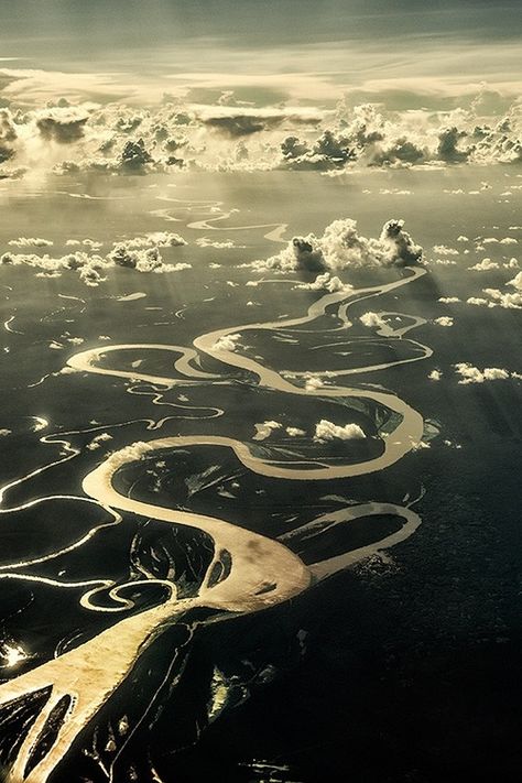 tect0nic:  Amazonas by Jose Ignacio Teran via 500px. Amazon River, Natural Phenomena, Birds Eye View, Aerial Photography, The Amazon, Birds Eye, Aerial View, Amazing Nature, Natural Wonders