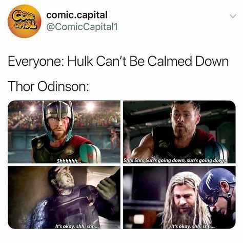 Thor And Bruce, Thor And Loki, Mike Deodato, Funny Marvel Memes, Dc Memes, Dc Movies, Movies And Series, Avengers Memes, Marvel Jokes